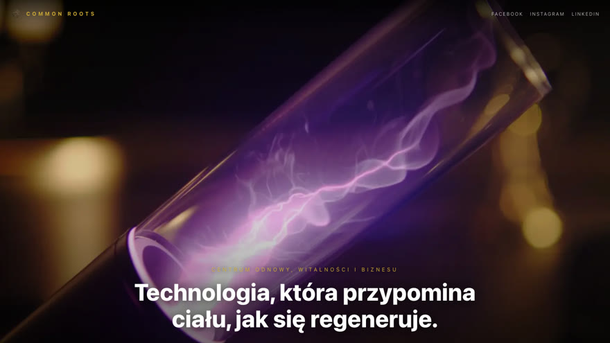 Strona Centrum Biokomunikacji Common Roots — kadr z lampą plazmową i hasłem o regeneracji